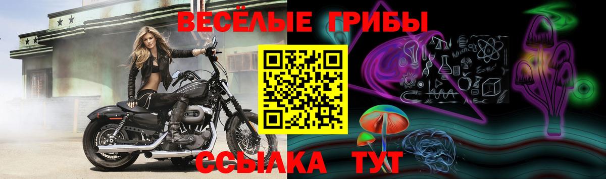 Похвистнево  Галлюциногенные грибы Magic Shrooms  Вход с VPN 